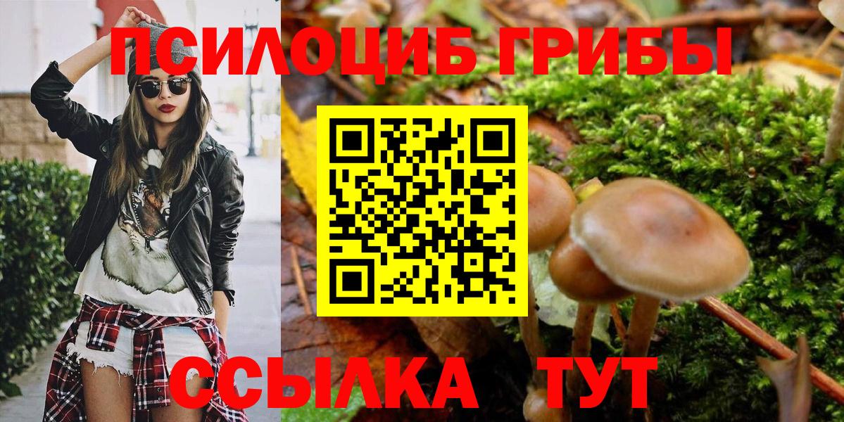 Новозыбков  Галлюциногенные грибы ЛСД  как найти наркотики  Вход с VPN 
